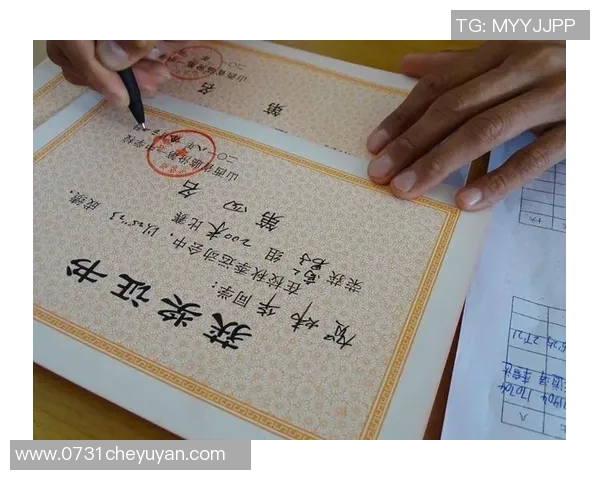 深圳排球队的拼搏之路:一段关于汗水与梦想的真实纪实 深圳排球队的拼搏之路:一段关于汗水与梦想的真实纪实