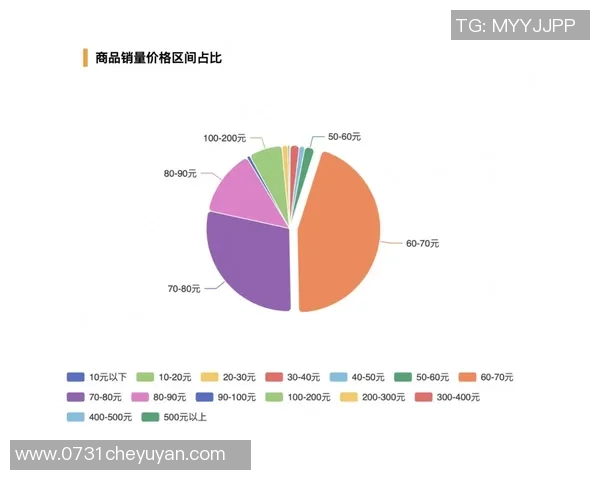 深圳排球队意识表现的数据分析与提升策略探讨 深圳排球队意识表现的数据分析与提升策略探讨
