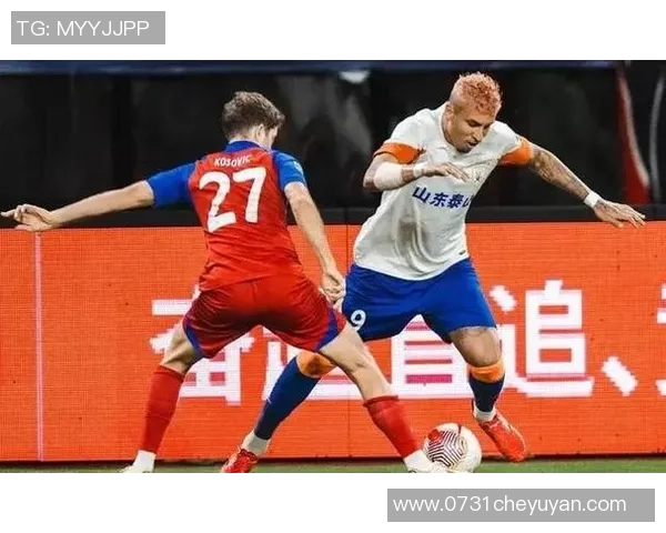 深圳排球队灵活性引发热议球迷与专家观点大碰撞