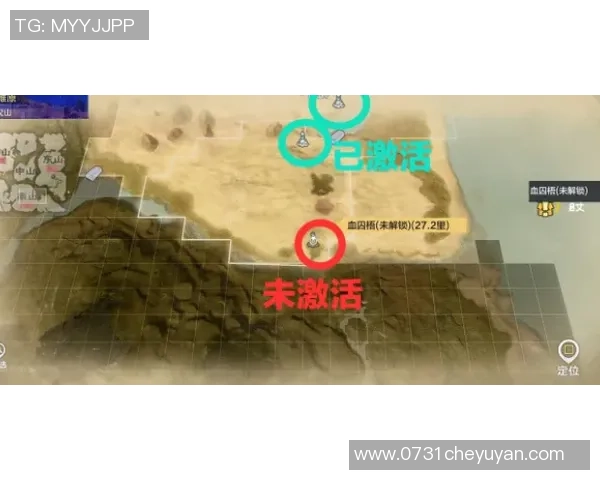 深圳网球队灵活性表现的数据分析与策略探讨