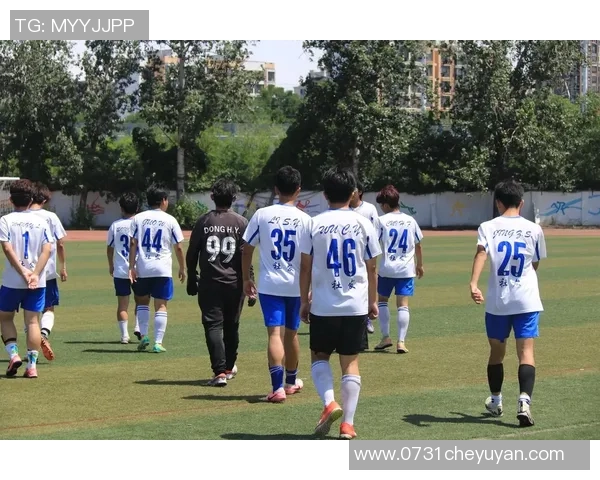 深圳足球队的拼搏之路:一段不屈不挠的奋斗纪实与荣耀回顾 深圳足球队的拼搏之路:一段不屈不挠的奋斗纪实与荣耀回顾